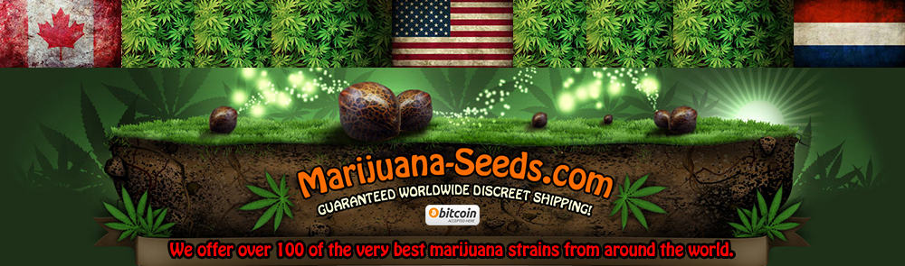 Marijuana-Seeds.com